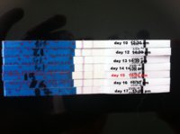 opk.jpg