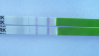 cd17.png