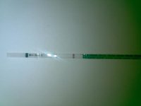 IMG_20120524_075521.jpg