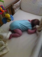 ImageUploadedByTapatalk1338364041.619056.jpg