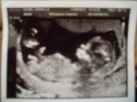 Bub - 11wk 6 days 001.JPG