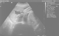 Scan 03-06-12.jpg