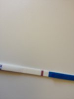 ImageUploadedByTapatalk1340122794.845216.jpg