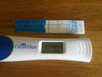 2-3 weeks.jpg