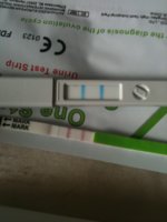 ImageUploadedByTapatalk1340549665.161339.jpg
