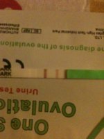ImageUploadedByTapatalk1340576088.413928.jpg