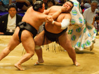 Sumo-match-&#26412;&#22580;&#25152;-Nagoya-Japan-2008-by-hitthatswitch.jpeg