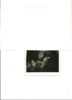 scan 2 20 weeks.jpg