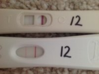 12dpo superdrug and fr.JPG