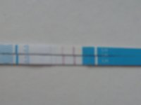 CD21.jpg
