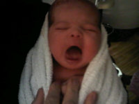 IMG00202-20100930-0529.jpg