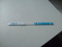cd24 001.jpg