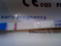 IMG0109A.jpg