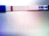 IMG0126A.jpg
