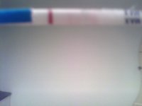 IMG0135A.jpg
