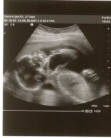 Scan.jpg