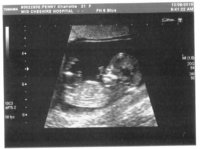 scan0002 - Copy.jpg