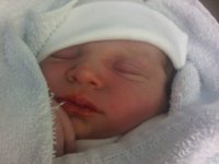 IMG00109-20101009-0858.jpg
