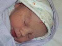 Alfie1ammended.JPG