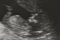 scan2.jpg