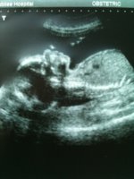 photo (2).jpg