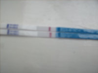 GEDC2035.JPG