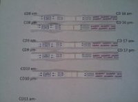 OPK1.jpg