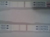 opk3.jpg