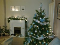 christmas 2011.jpg