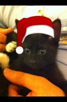 ImageUploadedByTapatalk1349806450.326063.jpg