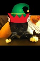 ImageUploadedByTapatalk1349806481.044090.jpg