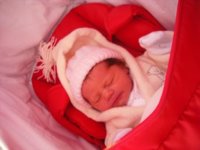 in the pram on first journey out.JPG