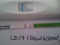 2012-11-01 14.12.37.jpg