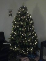 my xmas tree.jpg