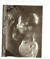 SCAN0001.JPG