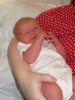 Alex's 8 Hours old 001.jpg