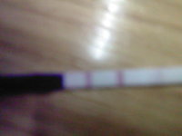 fac5f5719e43.jpg