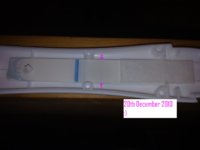 Paint Pregnancy Test.JPG