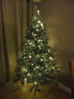 DSCF12741.JPG
