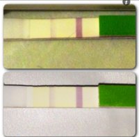 ImageUploadedByTapatalk1352571046.871196.jpg