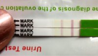 ImageUploadedByTapatalk1356717884.121480.jpg