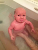 ImageUploadedByTapatalk1358500991.825036.jpg