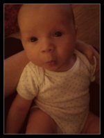 ImageUploadedByTapatalk1358847364.560102.jpg