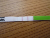 rsz_p1000148.jpg
