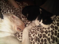 IMG00978-20110112-2302.jpg