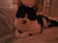 IMG00783-20101109-2147.jpg