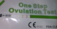 ovulation stick.jpg