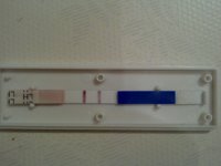IMG-20130313-00383.jpg