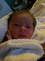 Lexi minutes old.jpg