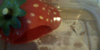 IMG-20130509-00653.jpg